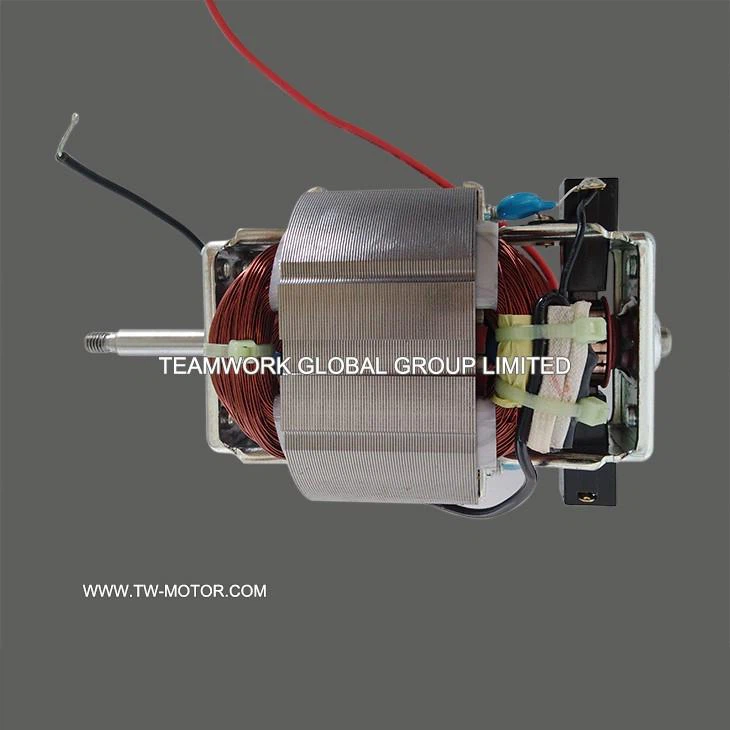 Juice Stirring Motor