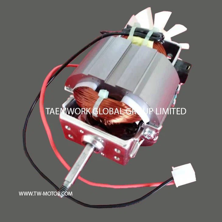 Meat Mincer Motor