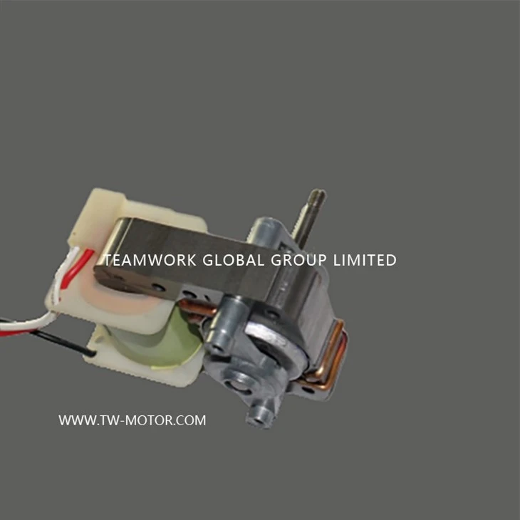 Electric Radiator Motor