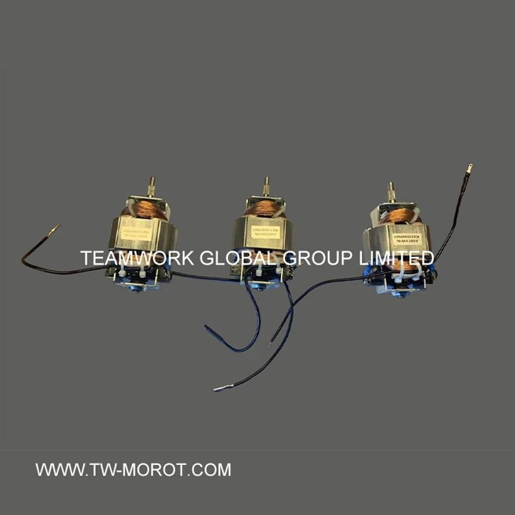 High-Power Hair Dryer Motor